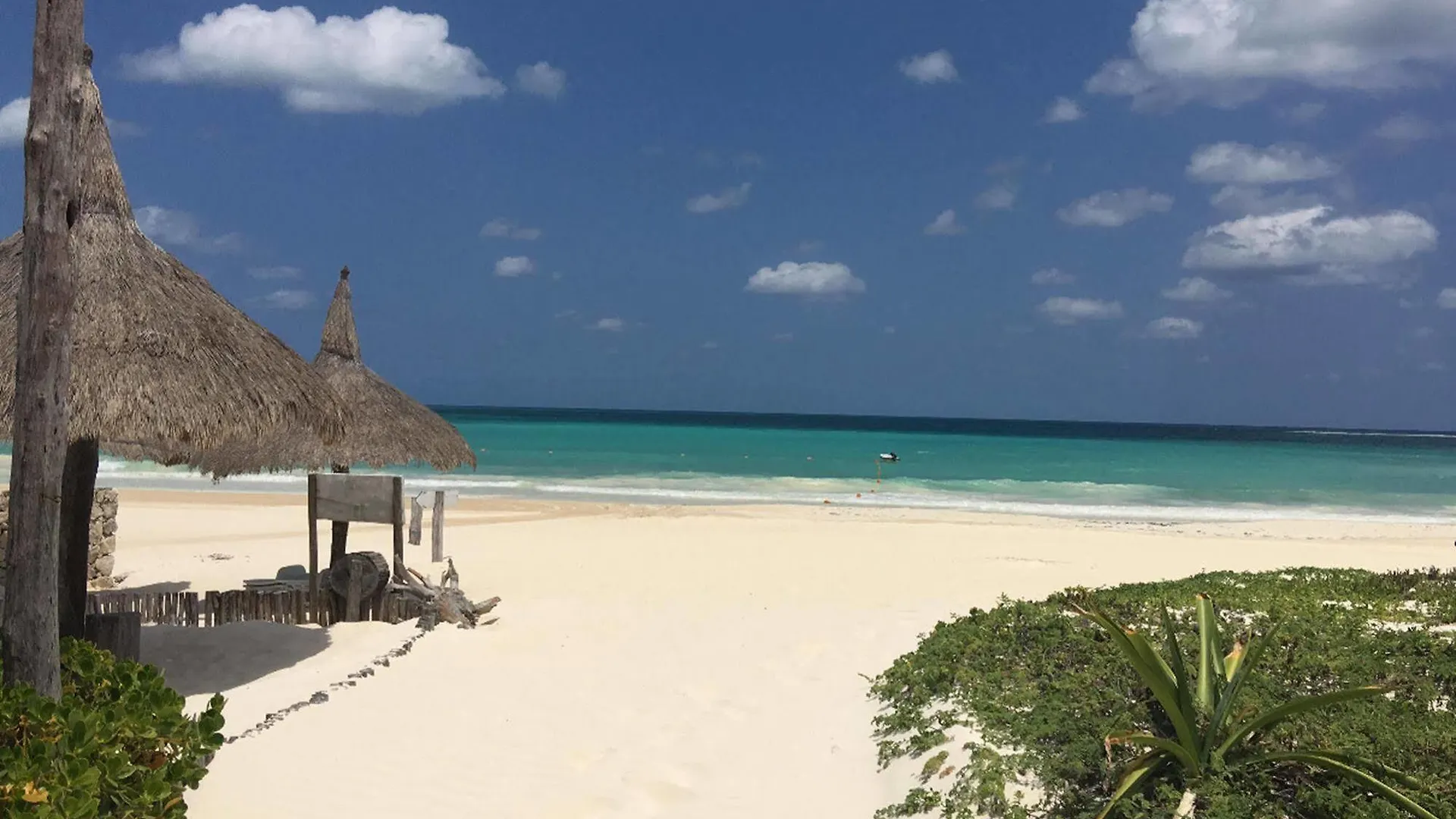 Amarte Hotel Playa del Carmen
