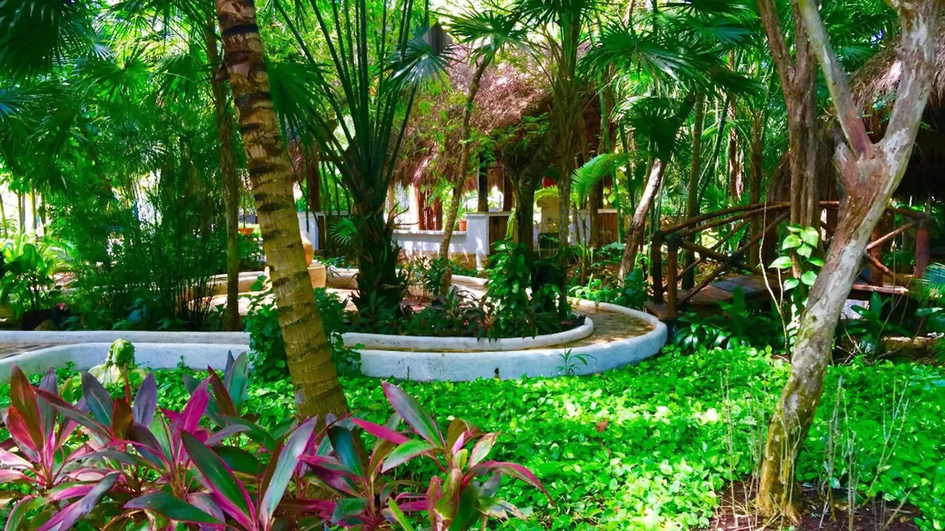 Amarte Hotel Playa del Carmen Mexico