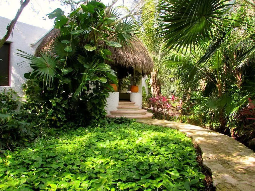 Amarte Hotel Playa del Carmen