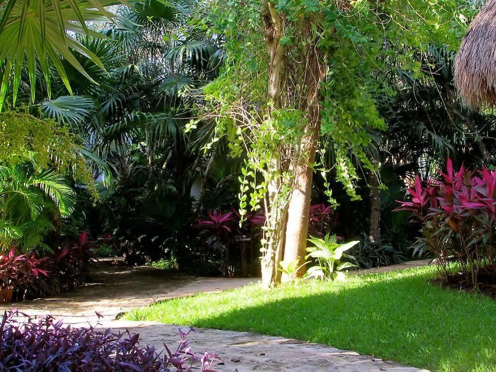 Amarte Hotel Playa del Carmen 3*,