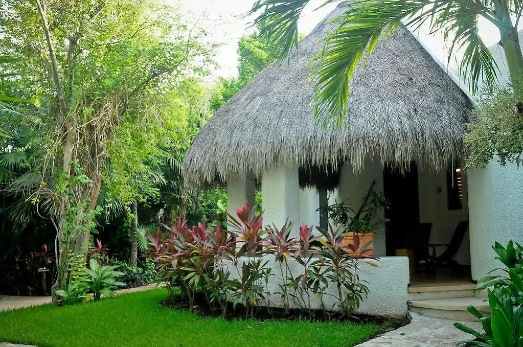 Amarte Hotel Playa del Carmen