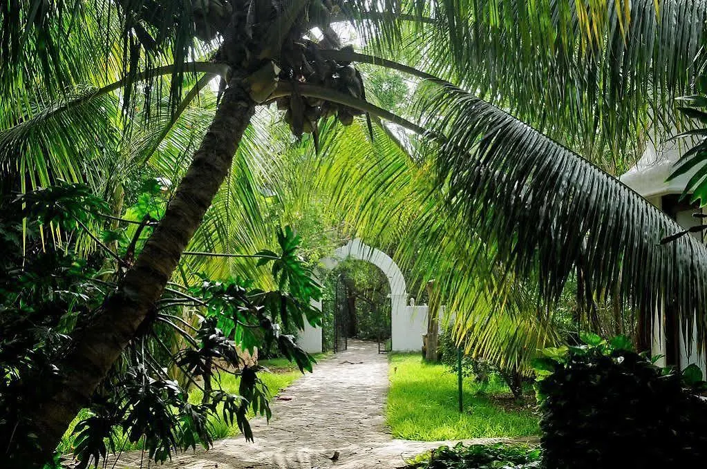 Amarte Hotel Playa del Carmen Mexico