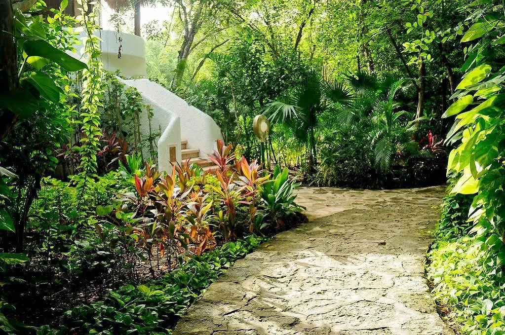 Amarte Hotel Playa del Carmen