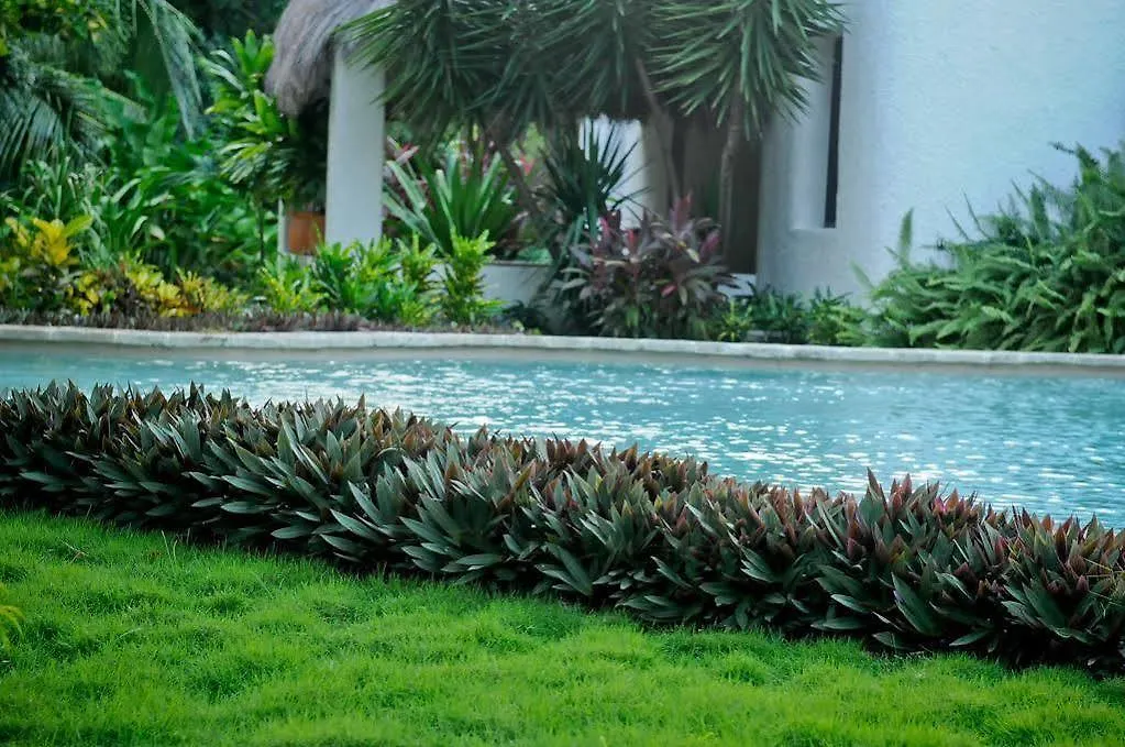 Amarte Hotel Playa del Carmen